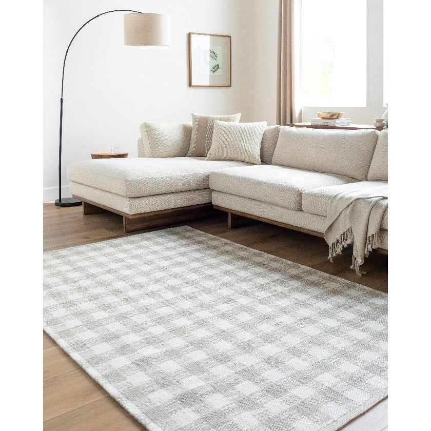 Jamaris Solid and Border Light Grey Area Rug