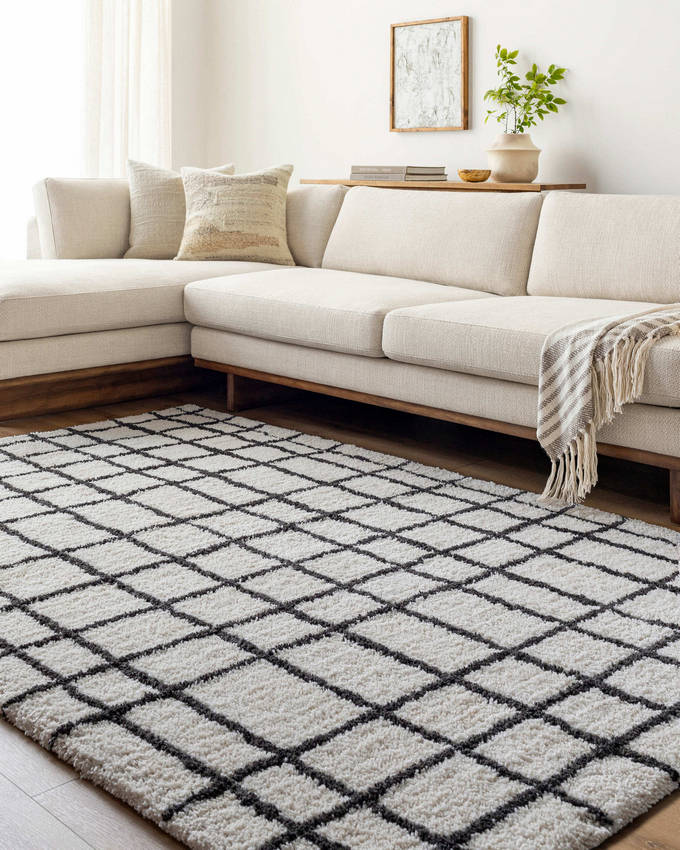 Alorton Modern White/Black Area Rug