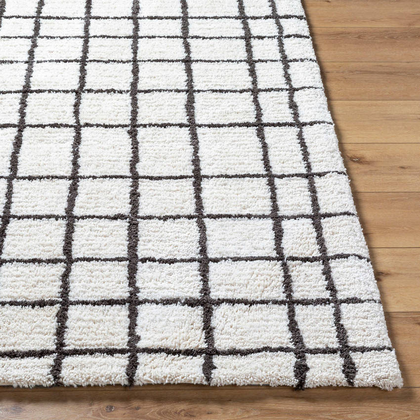 Alorton Modern White/Black Area Rug