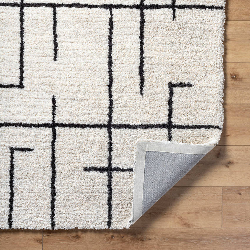 Ieasha Global Off-White/Onyx Area Rug