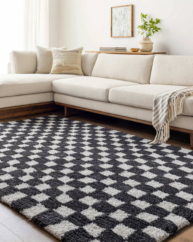 Donnisha Modern Light Silver/Black Area Rug