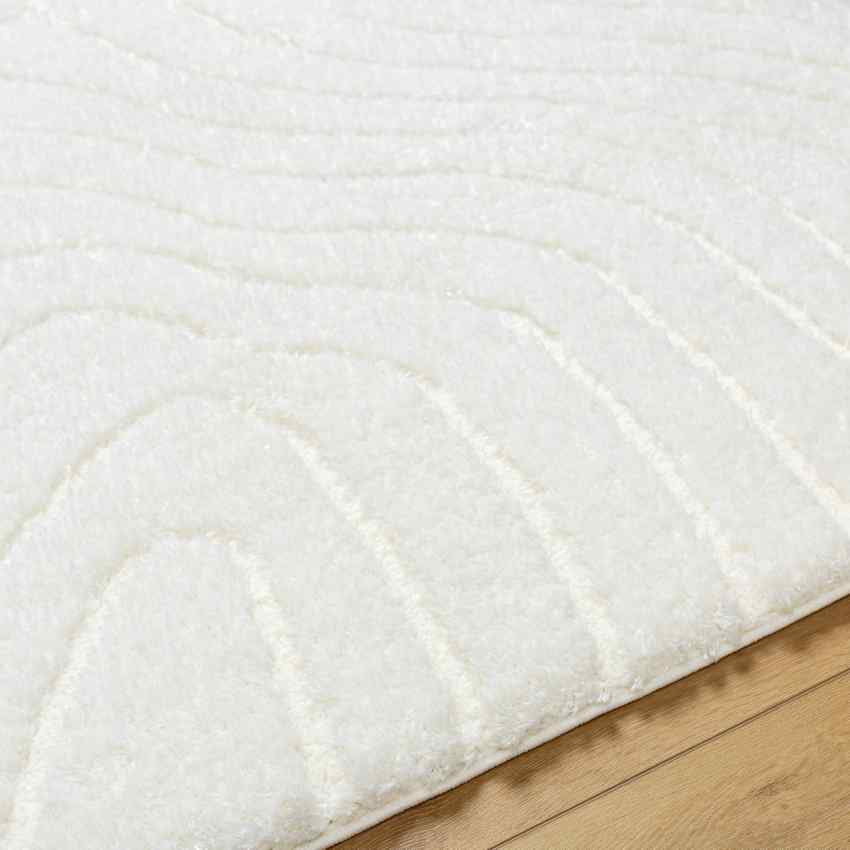 Favio Modern Light Beige Area Rug