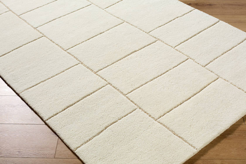 Benzion Modern Off-White Area Rug
