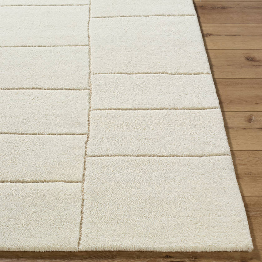 Benzion Modern Off-White Area Rug