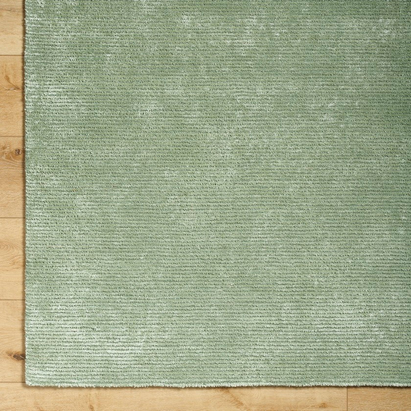 Jett Solid and Border Moss Area Rug