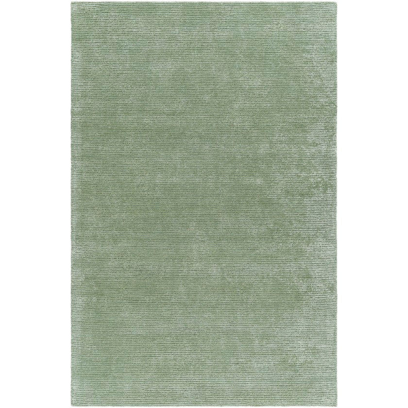 Jett Solid and Border Moss Area Rug