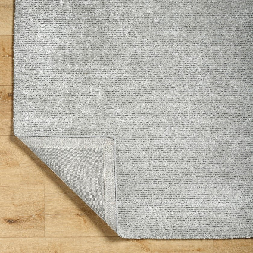 Jett Solid and Border Light Gray Area Rug