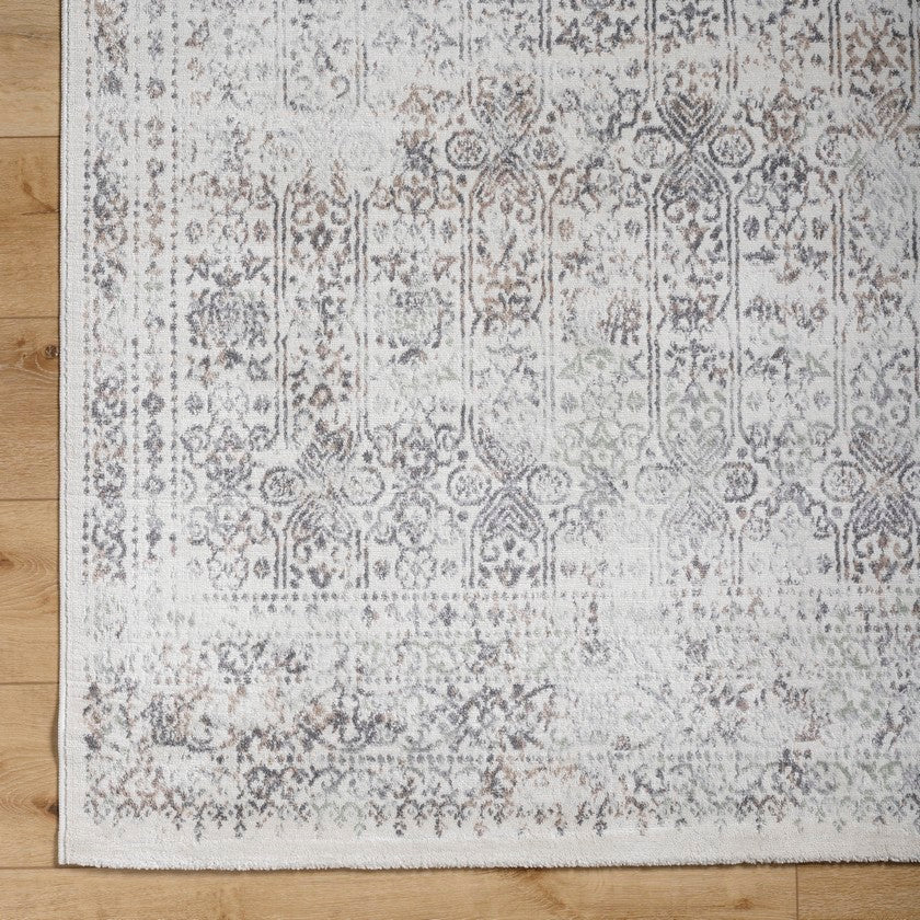 Hyeres Traditional Medium Gray Area Rug