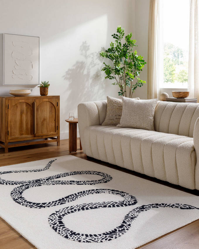 Rachelle Modern Light Silver/Jet Black Area Rug