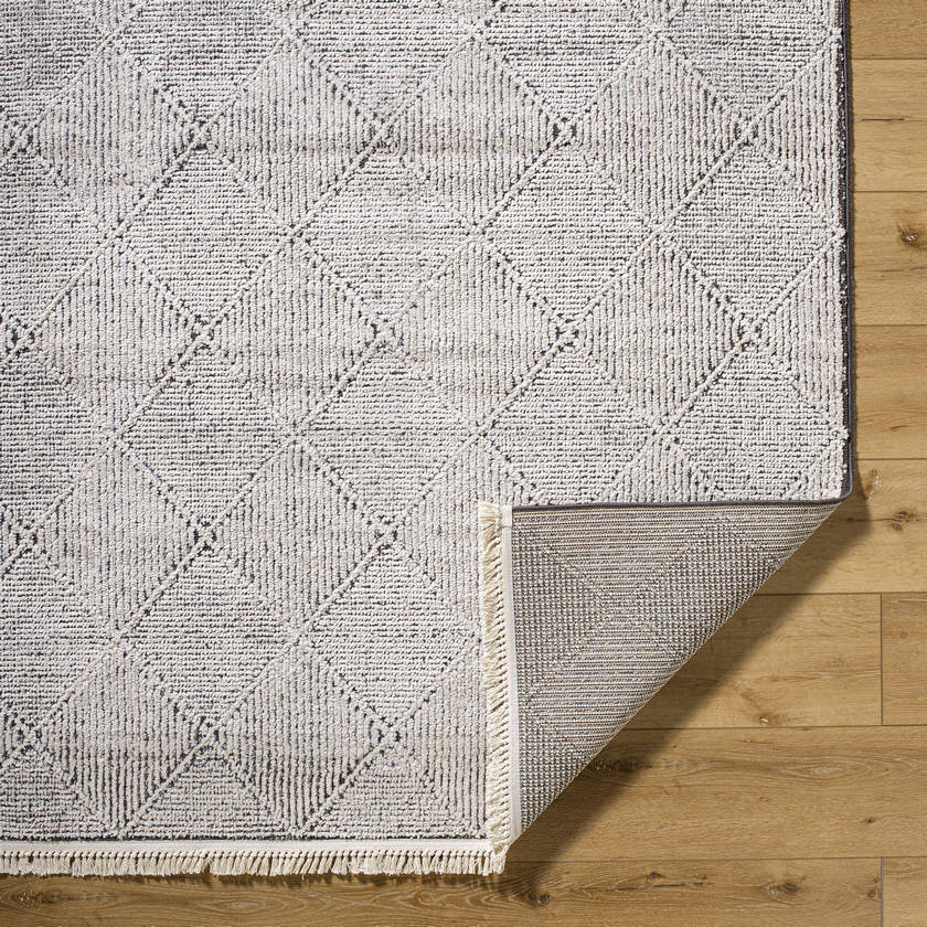 Otha Modern Ivory/Black Area Rug