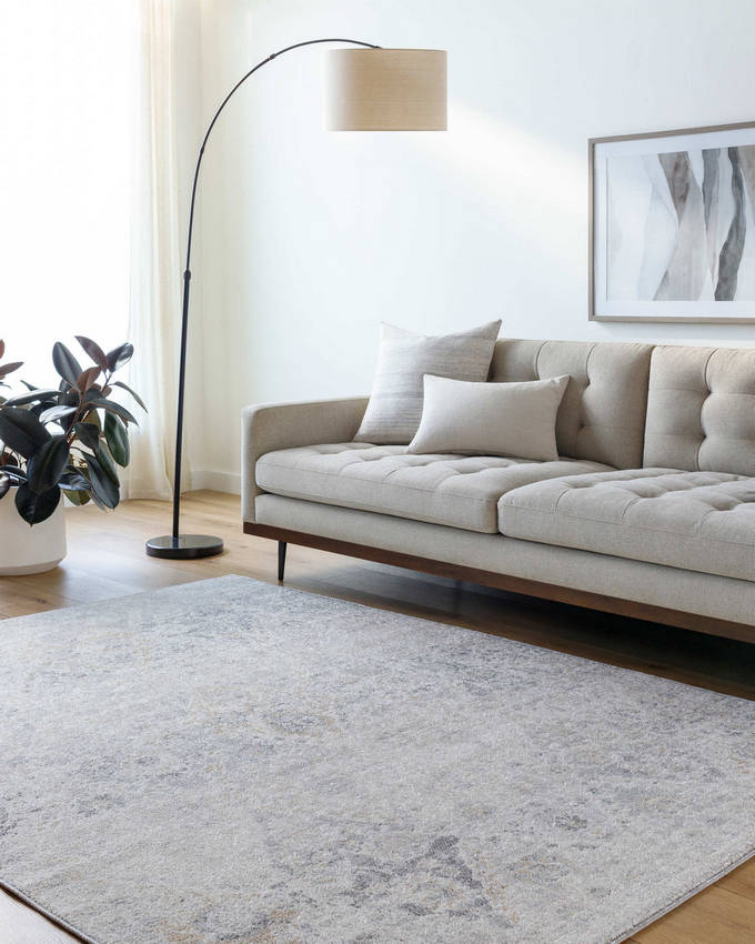 Emilly Traditional Medium Gray Area Rug