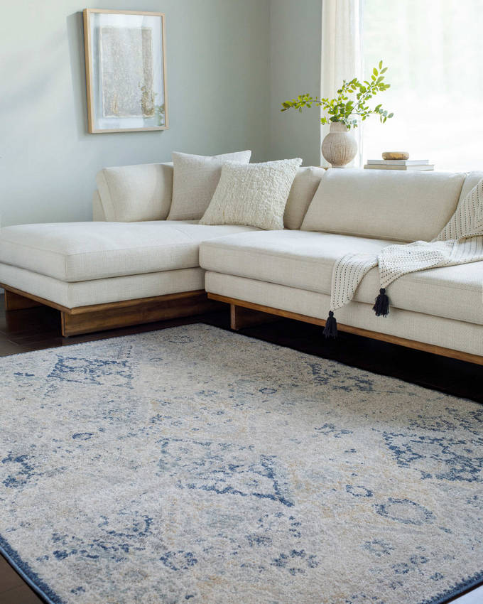 Emilly Traditional Blue Area Rug