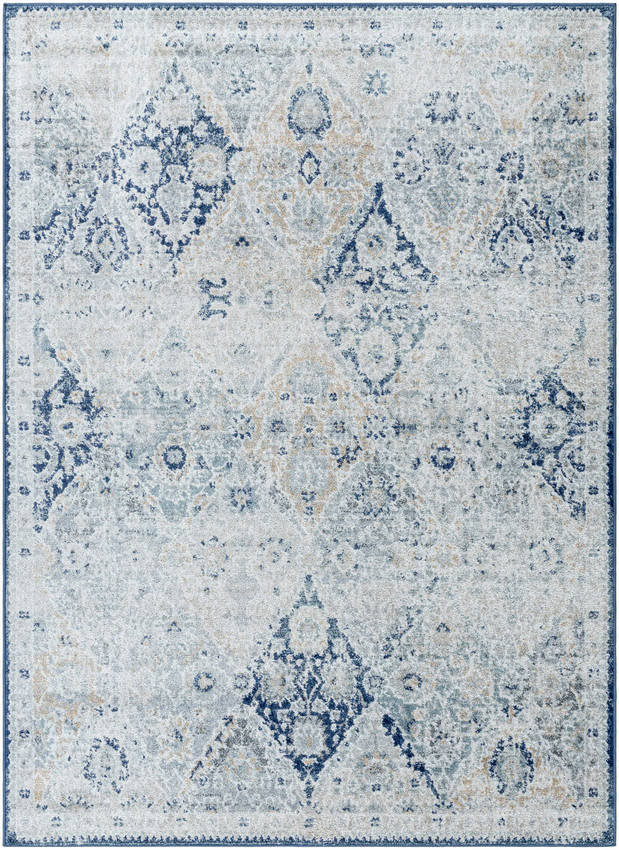 Emilly Traditional Blue Area Rug