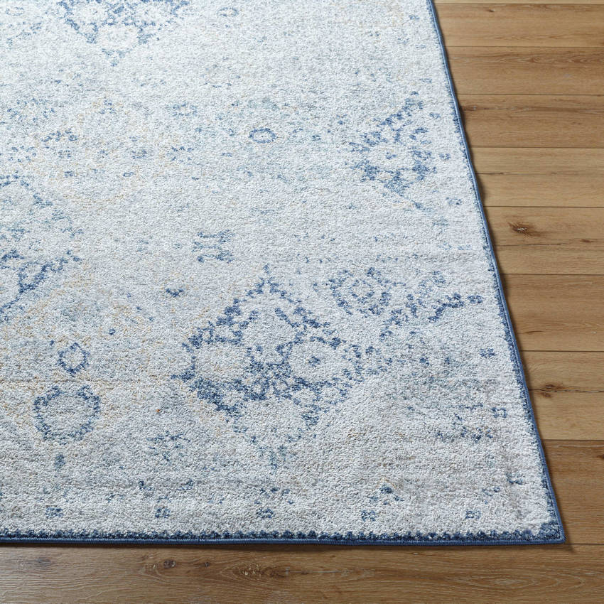 Emilly Traditional Blue Area Rug
