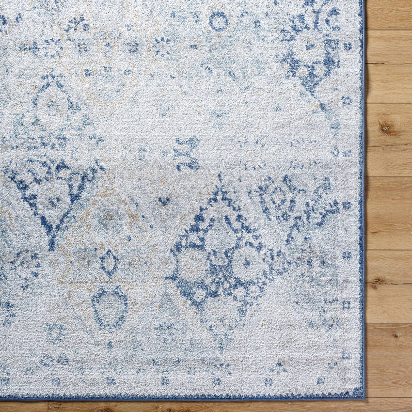 Emilly Traditional Blue Area Rug
