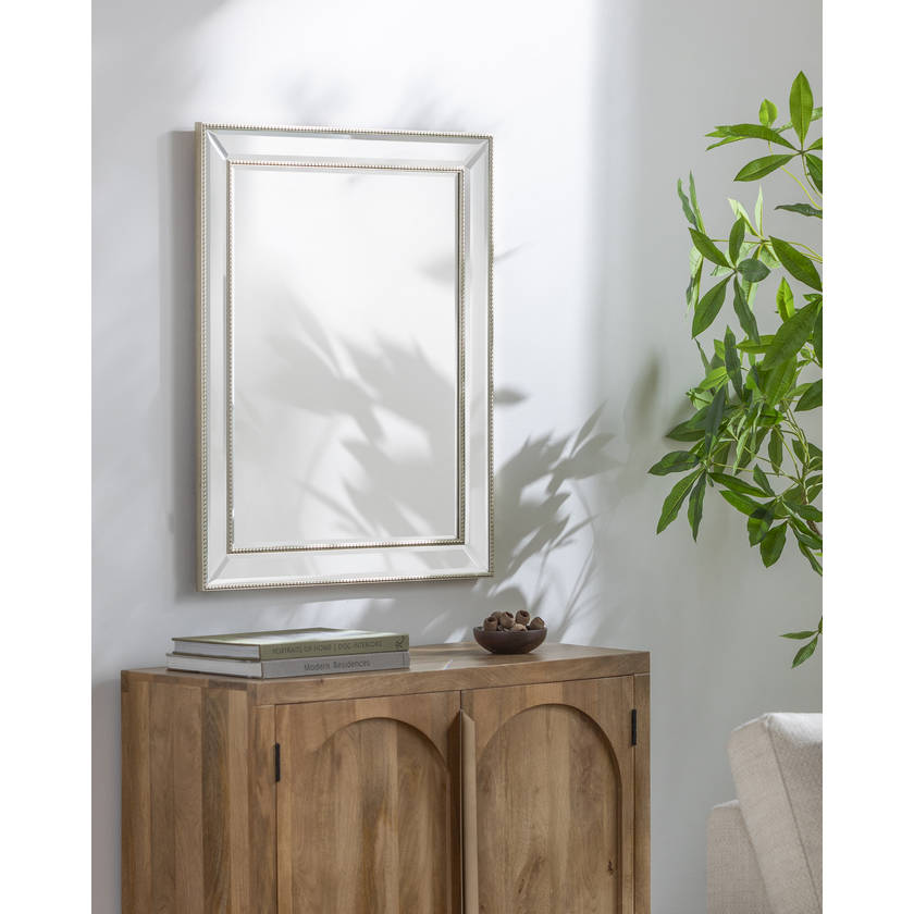 Alece Traditional Champagne Wall Mirror