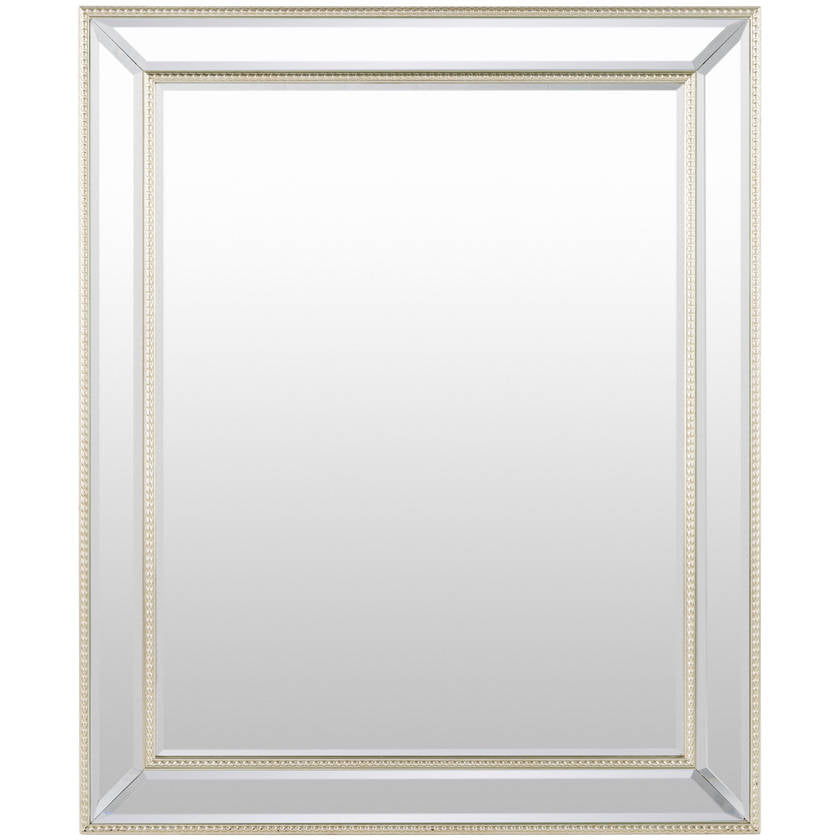 Alece Traditional Champagne Wall Mirror