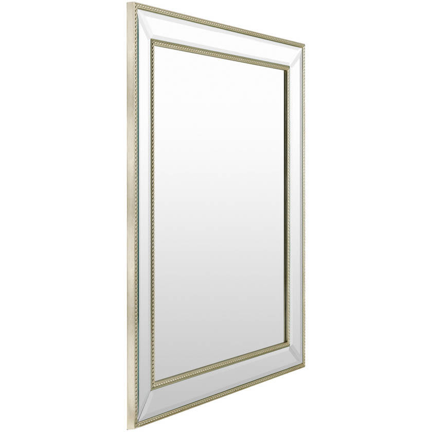 Alece Traditional Champagne Wall Mirror
