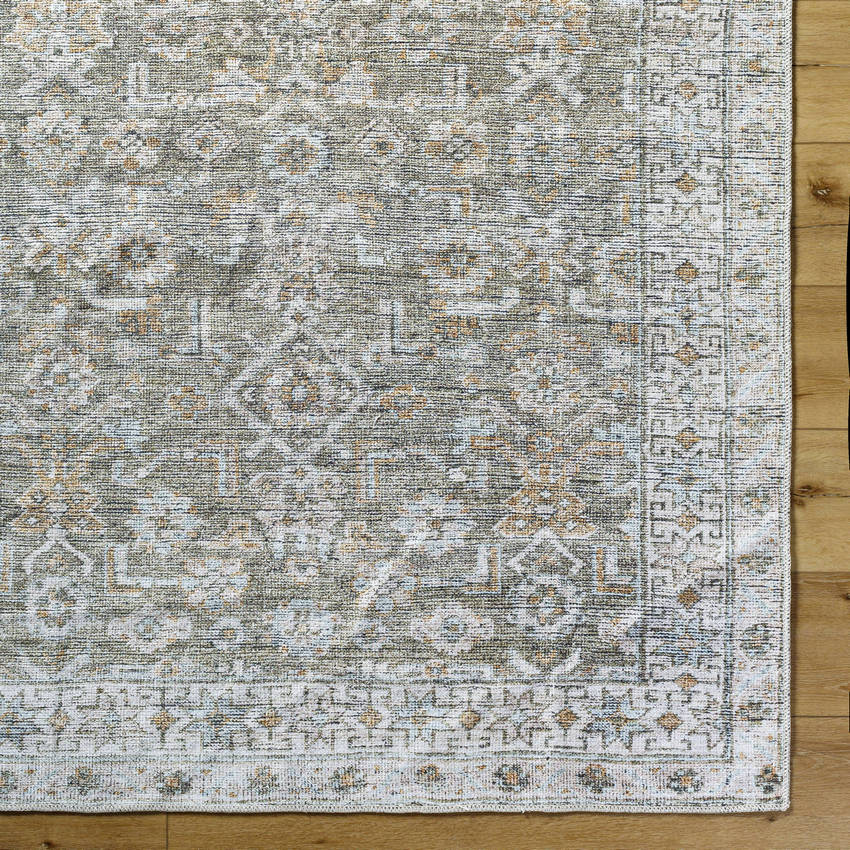 Dian Traditional Khaki/Light Silver Washable Area Rug