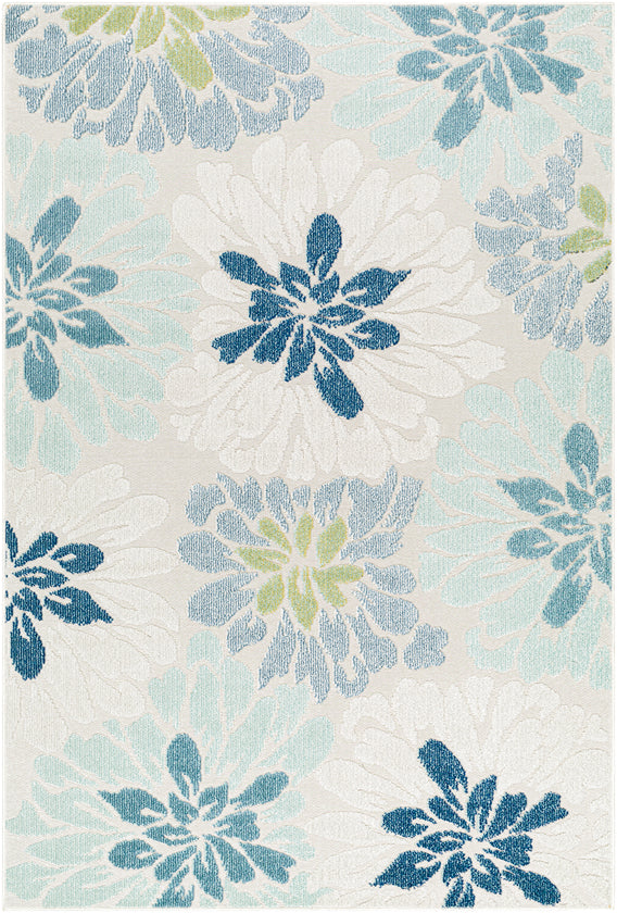 Mohit Coastal Pale Blue Area Rug