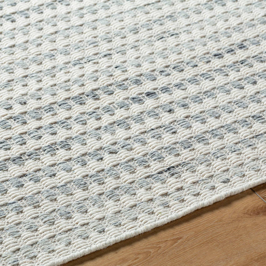 Emanuela Cottage Light Silver Area Rug