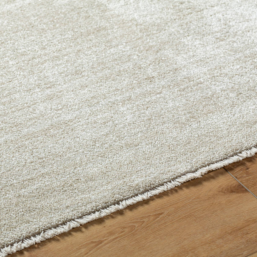 Rasheed Modern Taupe Area Rug