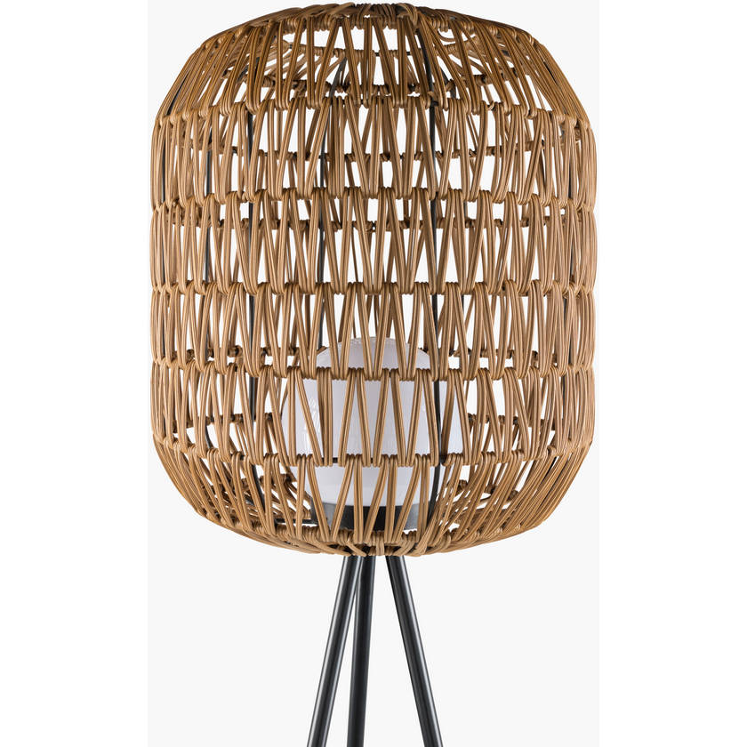 Tearra Global Brown Floor Lamp