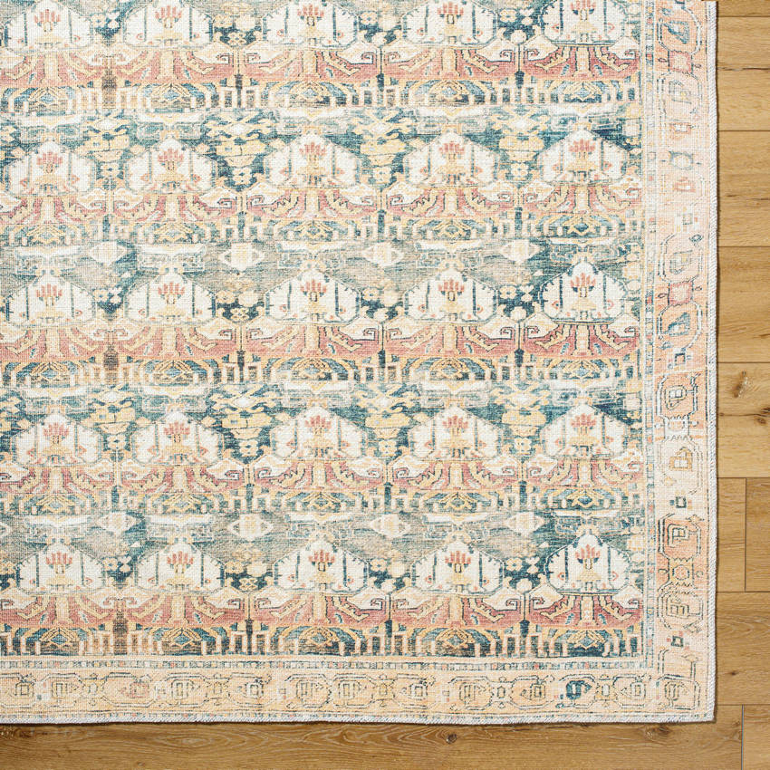 Kathaleen Traditional Apricot Washable Area Rug