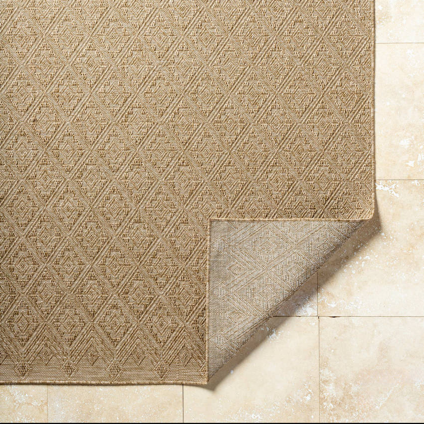 Selenia Cottage Light Brown Area Rug