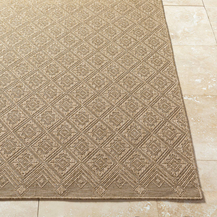 Selenia Cottage Light Brown Area Rug