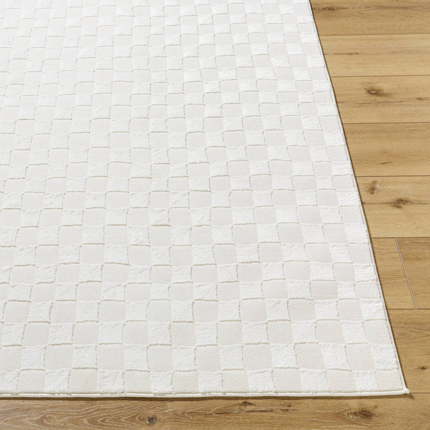 Ayleen Modern Ivory Washable Area Rug