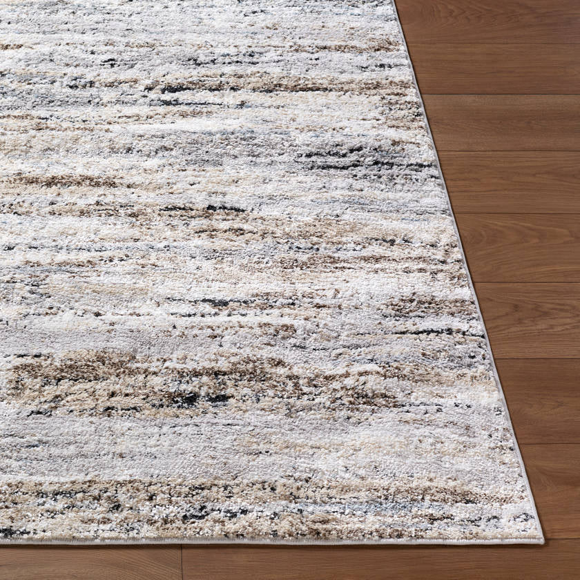 Namrata Modern Light Gray Area Rug