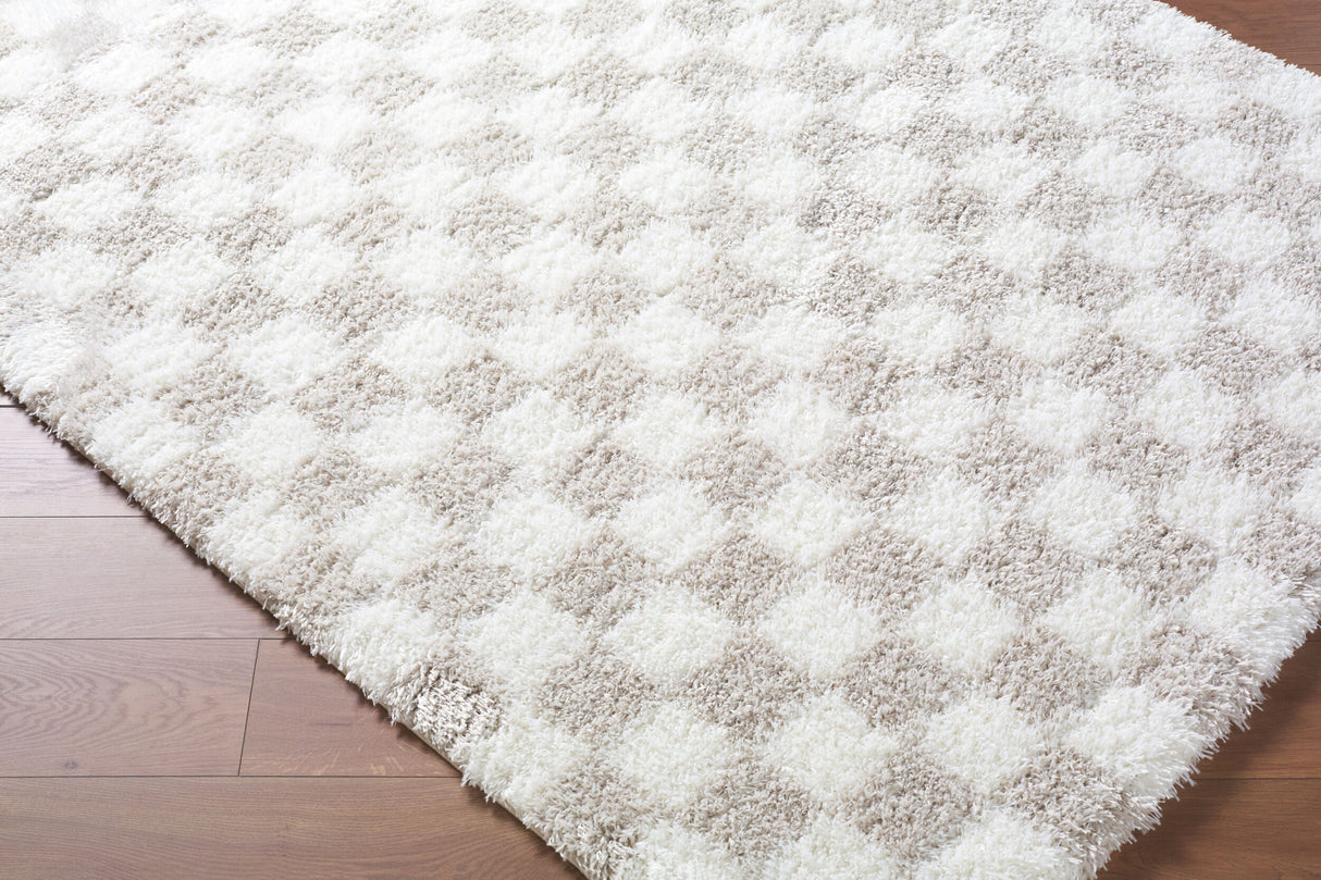 Chante Modern Tan Area Rug