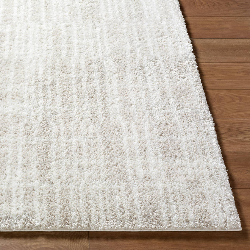 Jenica Modern Tan Area Rug