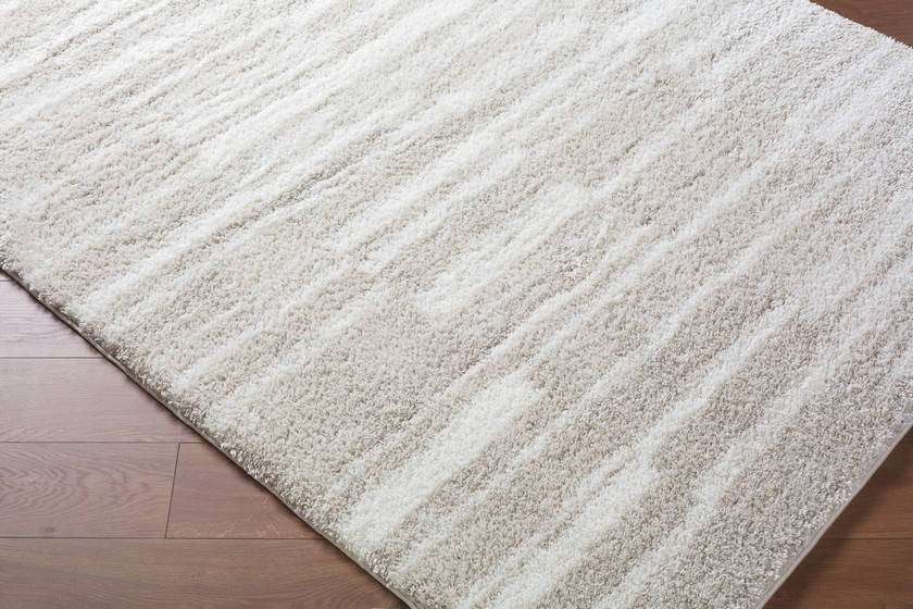 Jenafer Modern Tan Area Rug