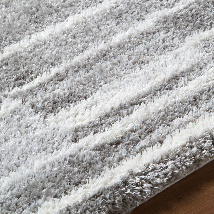 Jenafer Modern Charcoal Area Rug