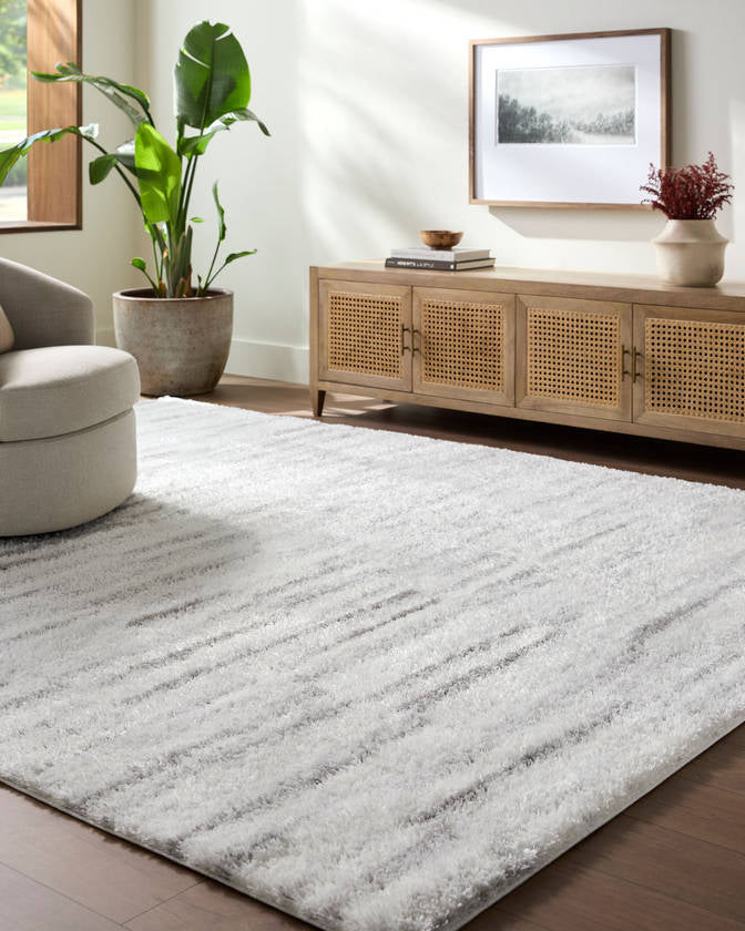 Rho Modern Light Gray Area Rug