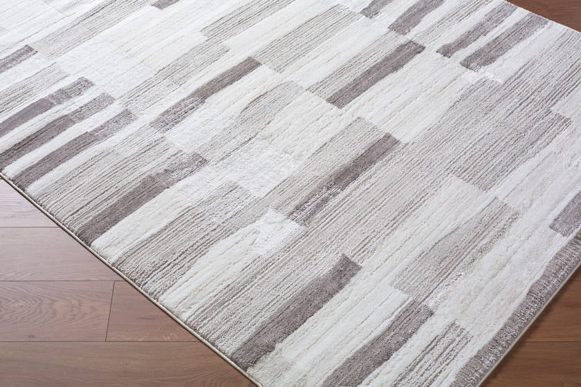 Tyrone Modern Medium Gray Area Rug