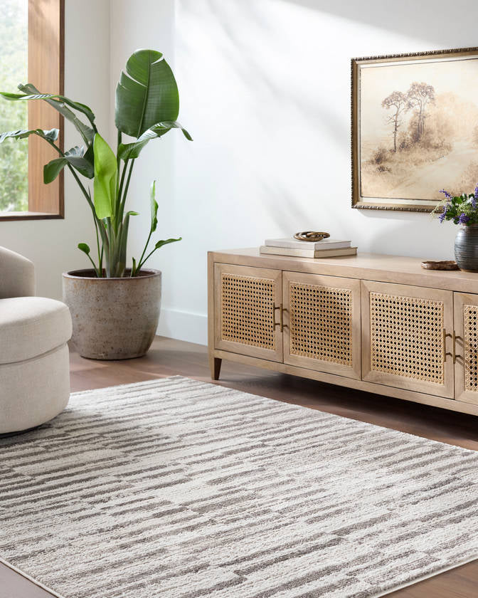 Megean Modern Medium Gray Area Rug