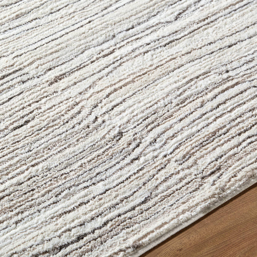 Ashleah Modern Taupe Area Rug