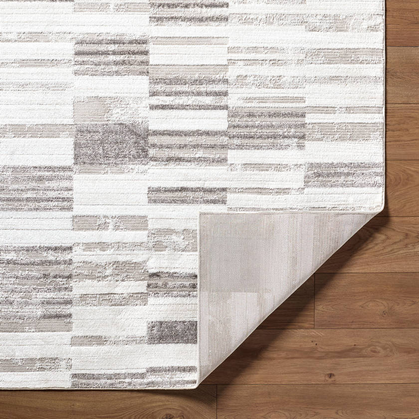 Rison Modern Light Beige Area Rug