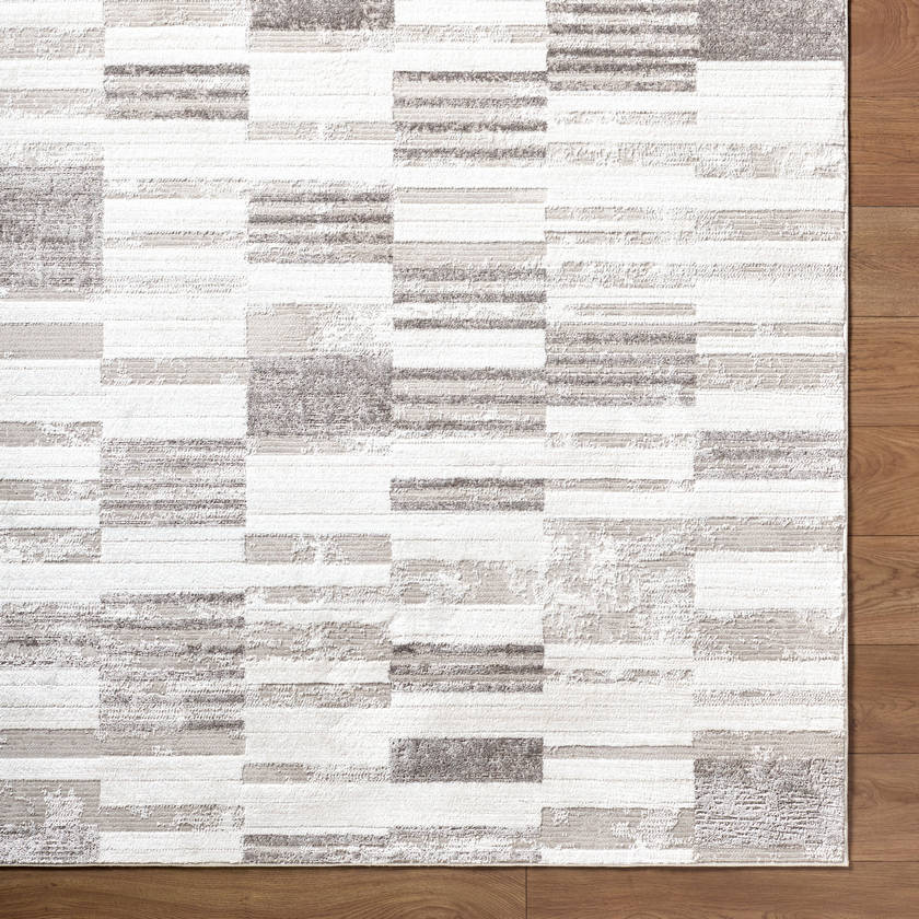Rison Modern Light Beige Area Rug
