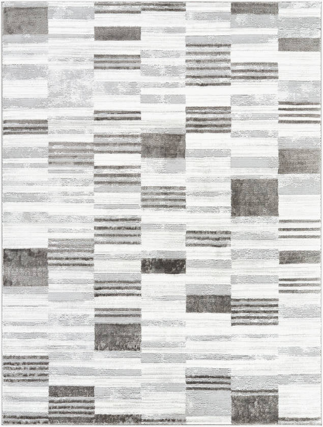 Rison Modern Medium Gray Area Rug