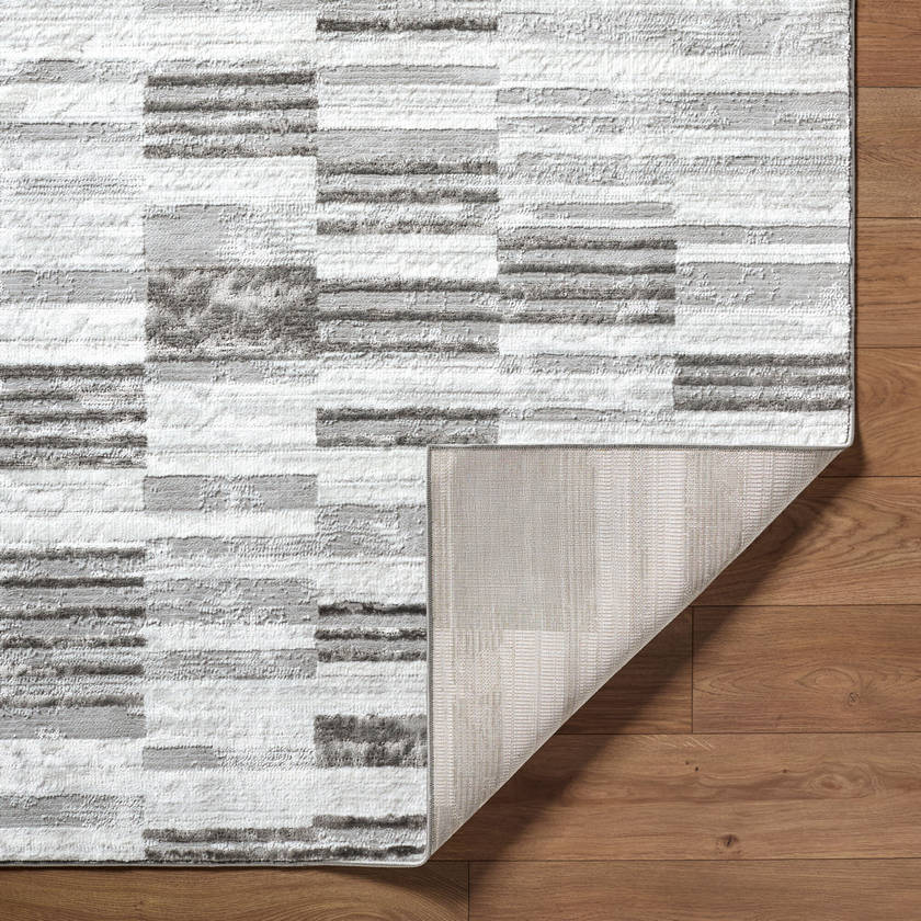 Rison Modern Medium Gray Area Rug