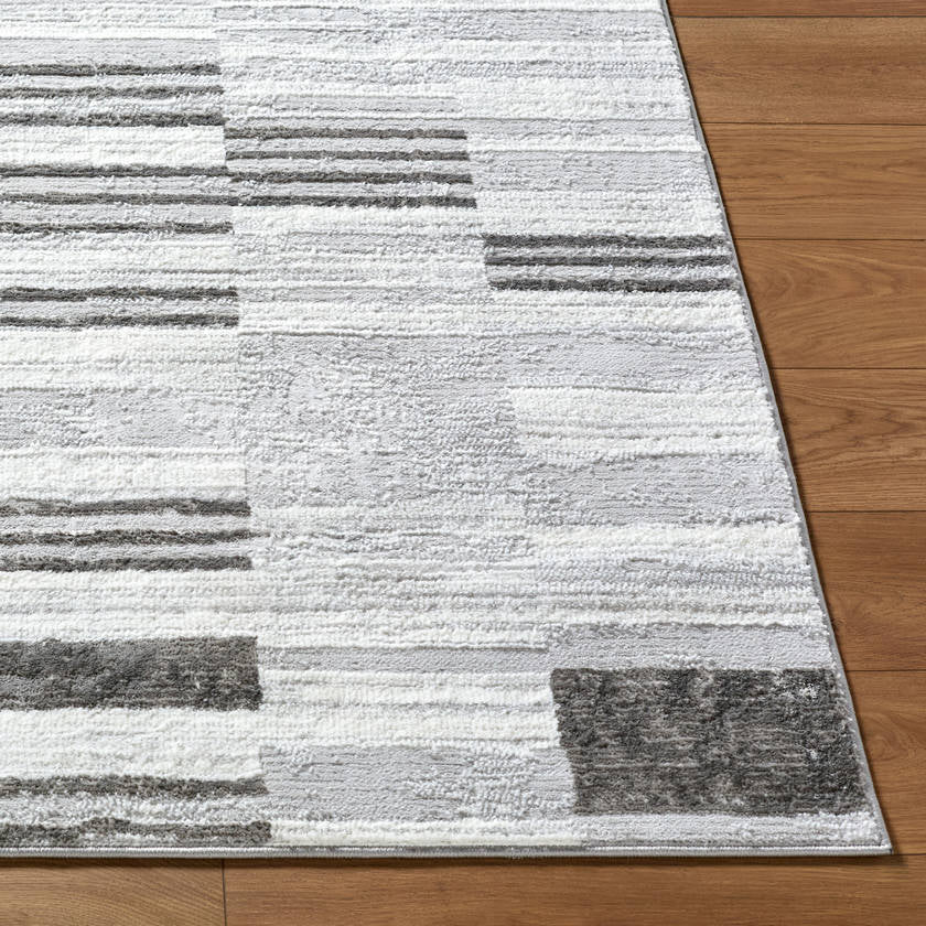 Rison Modern Medium Gray Area Rug