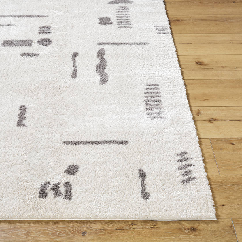 Shareef Modern Charcoal Washable Area Rug