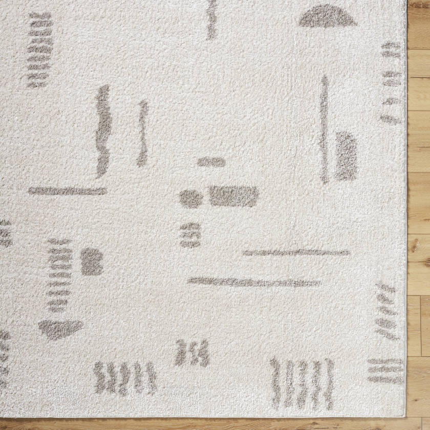 Shareef Modern Medium Gray Washable Area Rug