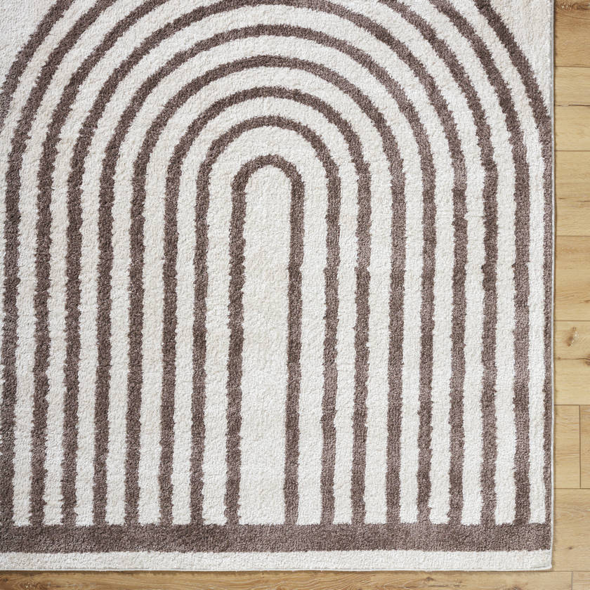 Larita Modern Dark Brown Washable Area Rug