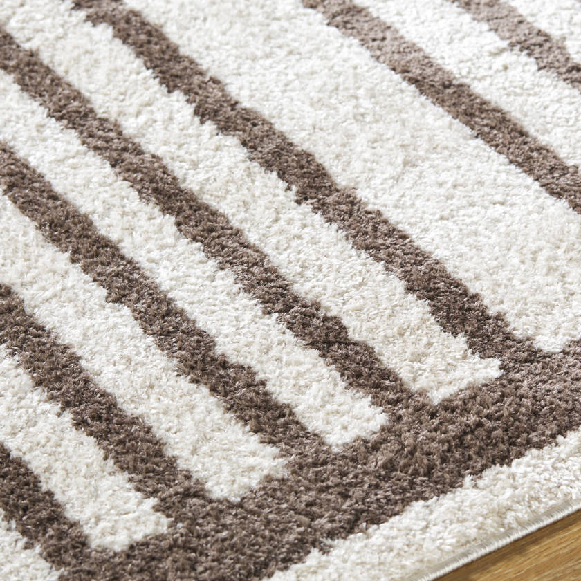 Larita Modern Dark Brown Washable Area Rug