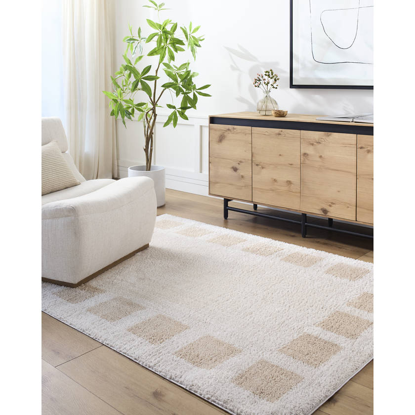 Tameka Modern Beige Washable Area Rug